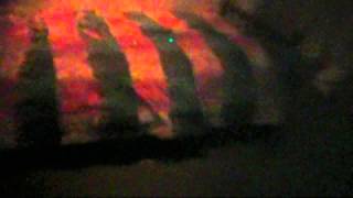 Halloween Horror Nights 2013 Part 7:  El Cucuy: The Boogeyman
