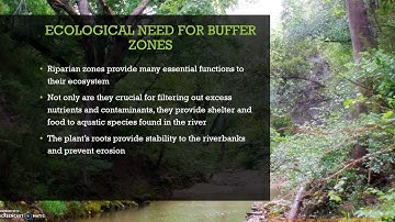 Introduction to Riparian Buffer Zones