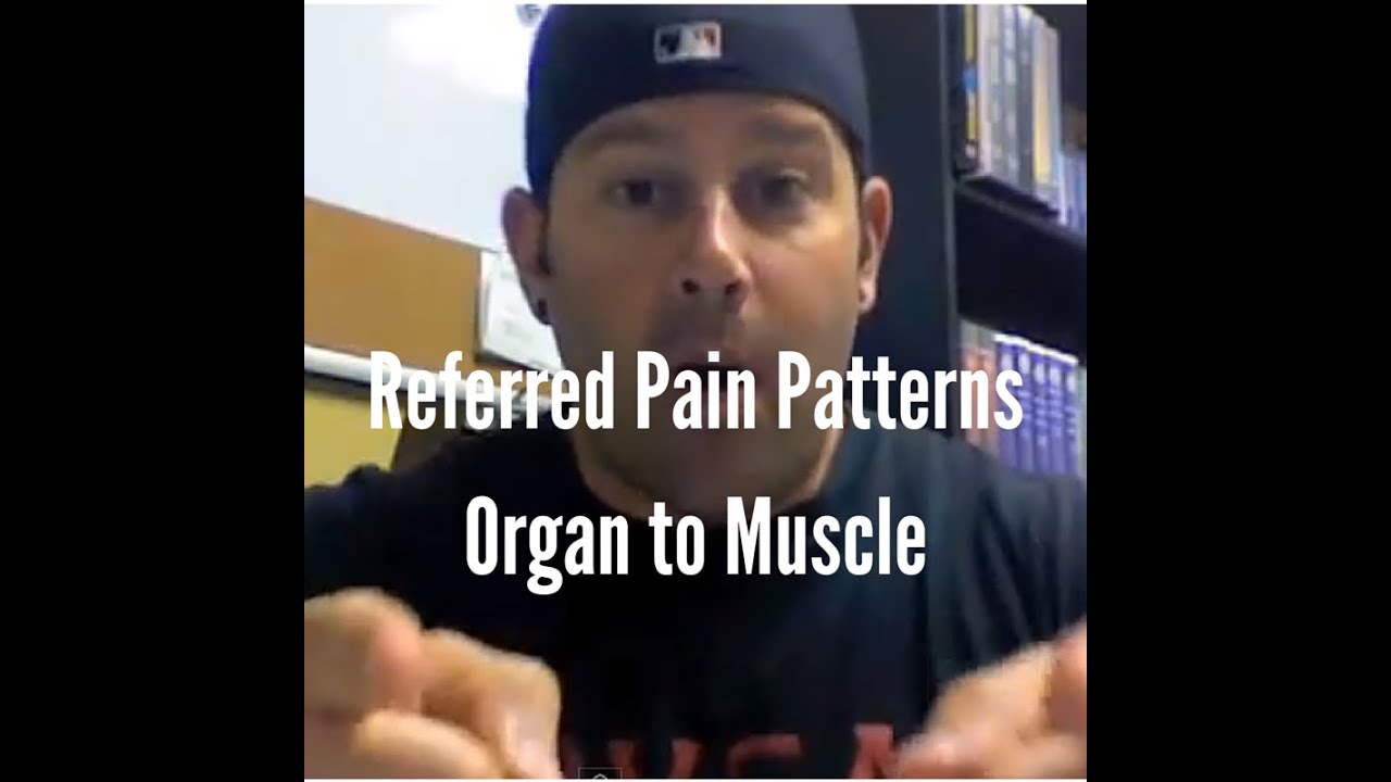 Organ to Muscle Pain Patterns Biology Diagrams