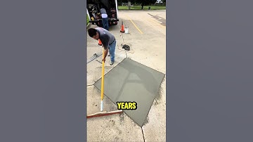 The fastest workers in the world..