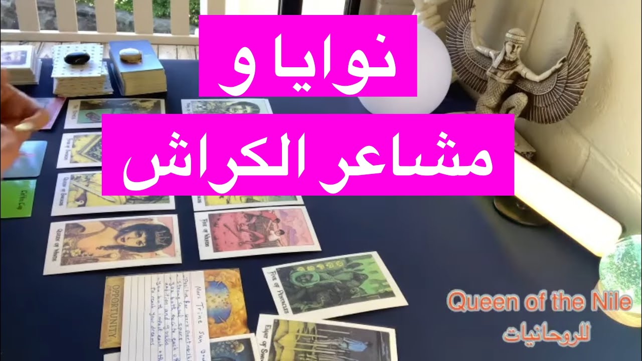 اختار كارت تاروت الكراش/الحبيب هل يبادلك المشاعر؟ هيعترف بمشاعره؟ مشاعره تجاهك و ناوي علي إيه؟