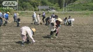 【震災】塩害対策で田んぼにヒマワリなどの種まき（11/06/04）