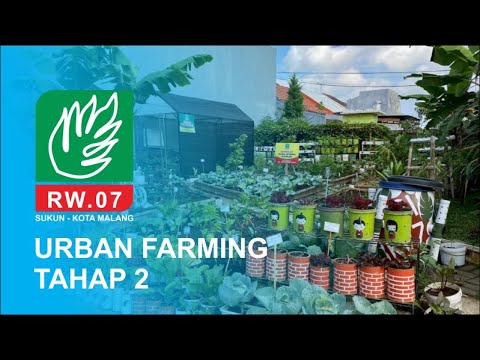 Lomba Urban Farming Tahap 2