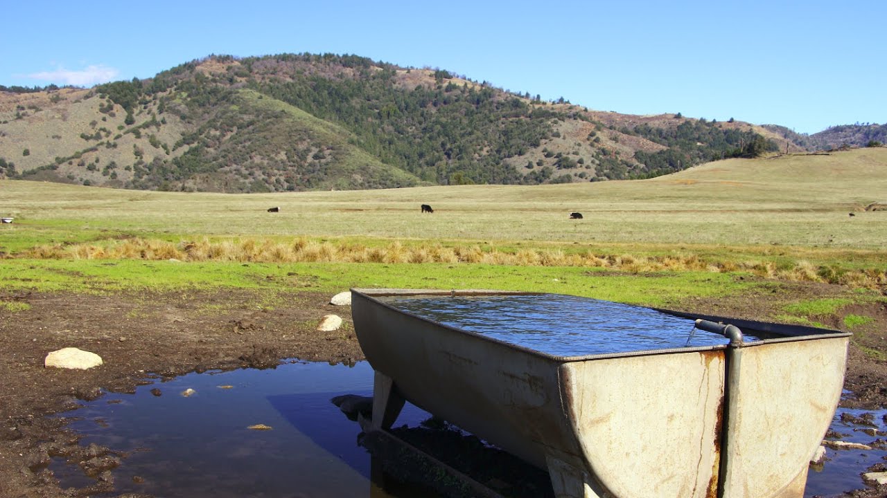 Hiking the 7 mile Kanaka Loop in the Santa Ysabel Preserve