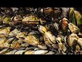 Barnacles removal (47)