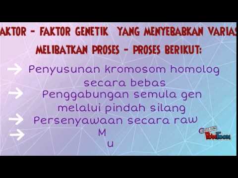 Video: Apakah faktor yang mempengaruhi variasi?