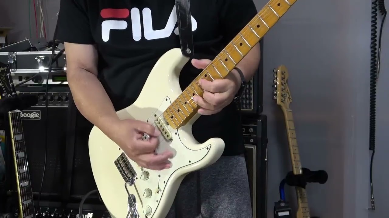 kissy's Guitar Collections】FenderJapan ST67-95改 1994 DiMarzio HS