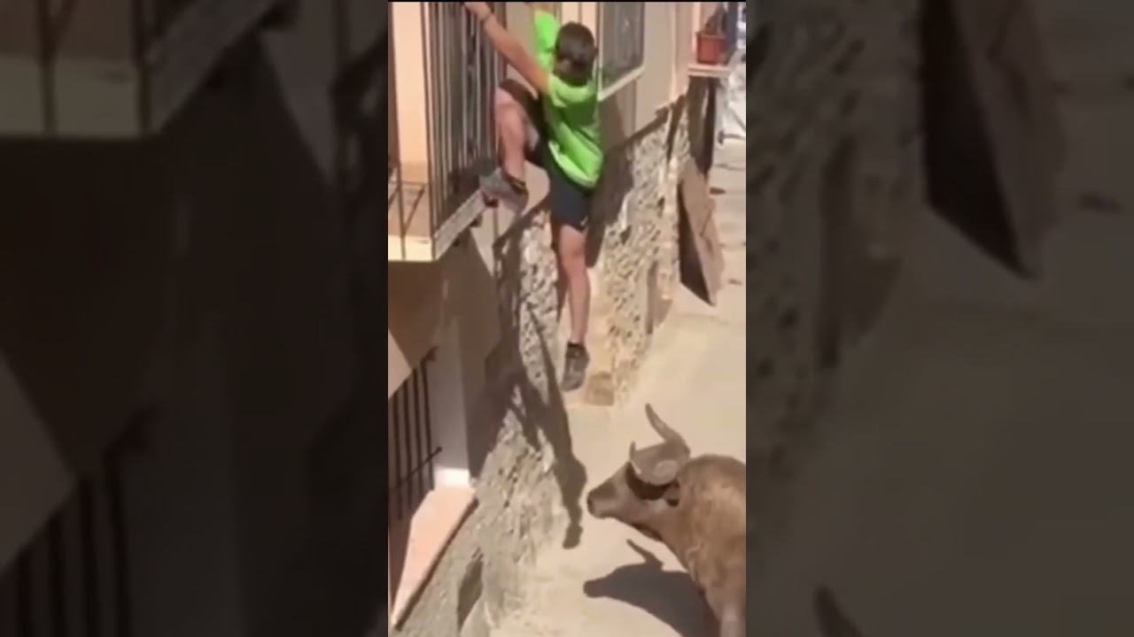 Angry Bull Charges at Man on Balcony  Real Bull Attack Footage in Spanish Town 