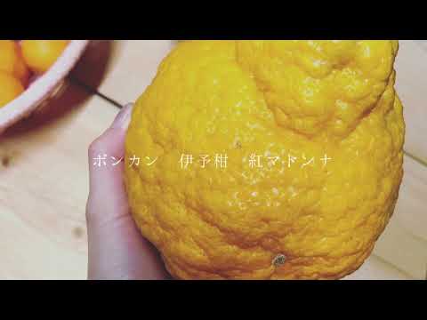 【MV】押韻協議会のMy little town/押韻協議会 Prod by K3NTA
