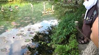 1080802岐阜縣根道神社 2