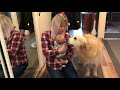 Golden Retriever Netta meets a baby for the first time