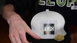Cannabis 21 Presents: How to Store Your Weed!