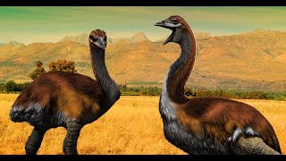 Paleognaths and the Rise of the Ostriches