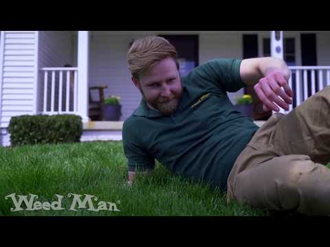 Weed Man Lawn Care - We Care For Your Lawn