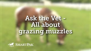 Ask the Vet - All about grazing muzzles