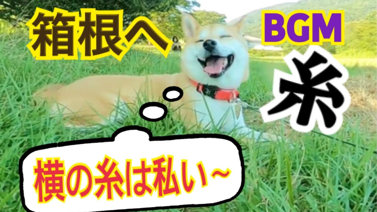 柴犬 もみさん 箱根に行ったよ 彼女みたいな犬 Shiba Inu Momisan Went To Hakone Youtube 柴犬 もみさん 箱根に行ったよ 彼女みたいな犬 Shiba Inu Momisan Went To Hakone Youtube