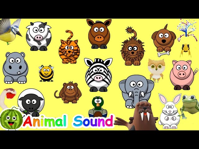 The Animal Sound Song || Kids Songs and Nursery Rhymes || EduFam ~ class=