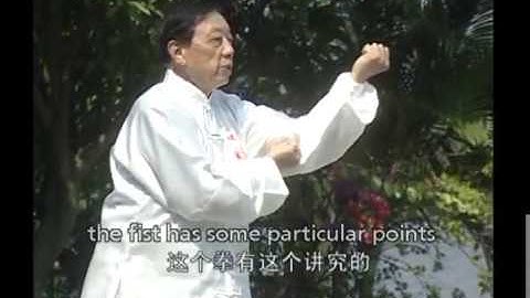 Xingyi  Wuxing Quan  Lecture   