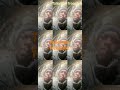 freestyle talleman