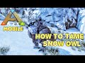How to tame snow owl in ark ultimate mobile edition full guide.Extinction map
