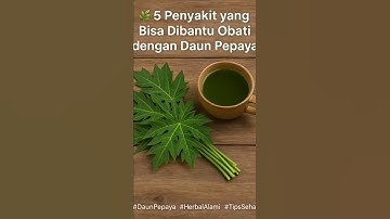 🌿 5 Penyakit yang Bisa Dibantu Obati dengan Daun Pepaya#DaunPepaya #HerbalAlami #TipsSehat