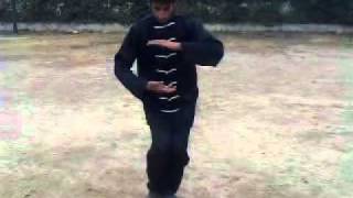 Pak Shaolin Kung Fu Beginners