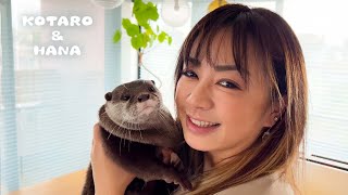 Otter Falls in Love with a Beautiful Police Officer