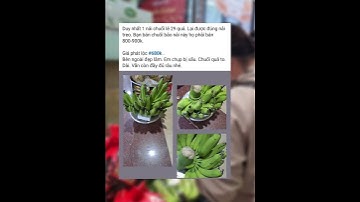 Nửa triệu đồng một nải chuối tiêu xanh