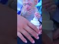 Breastfeeding Monkeys #cutebaby#babymongkey #babymonkey #babymonkeyattacked #babymonkeyvideos 6
