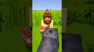 What If Minecraft Added a CANNON The Most Powerful Weapon Ever