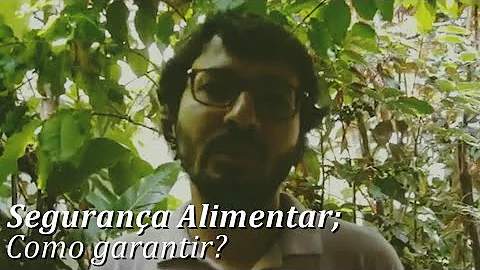 Que medidas devem existir para garantir a segurança alimentar?