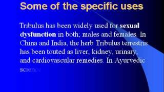 Tribulus Terrestris Benefits