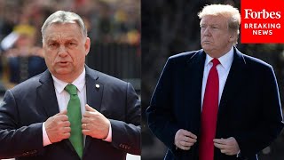 'Very Strong Person, Doesn't Play Games': Trump Brags About Viktor Orbán's Praise