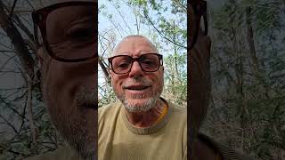 Why do we place too much importance on human creative imagination and innate abilities