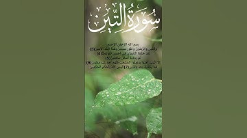 surah al teen سورة التين