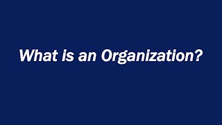 What is an Organization?