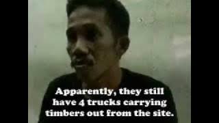 THE VICTIM OF ILLEGAL LOGGING IN INDONESIA - SAPDILAH (4)