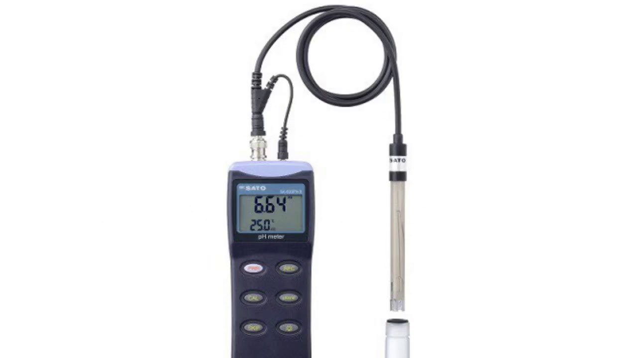 取扱を終了した商品です］2-5973-21 ハンディ型pH計 SK-620PHⅡ 【AXEL
