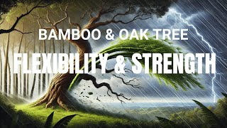 The Bamboo and The Oak Tree: A Lesson in Flexibility & Strength