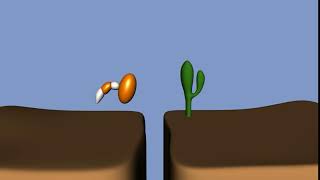 Ball with a Tail Jumping a Gap