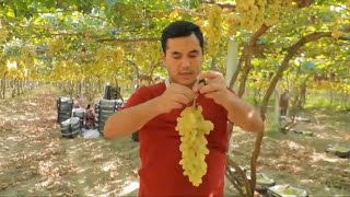 Олтиариқ тумани томон йўл бўйлаб | Yo'l bo'ylab