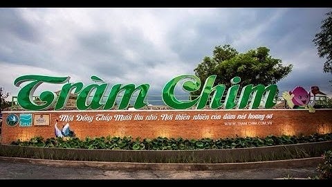 Hè rồi cùng gia đình khám phá TRÀM CHIM  ở TAM NÔNG ĐỒNG THÁP I BEE TV