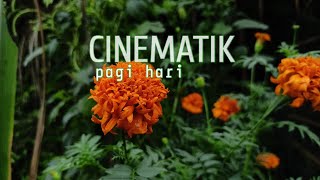 Story wa keren cinematik video 30detik pagi hari