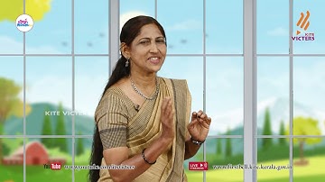 First Bell 2.0 STD 07 Basic Science - English Medium Class 04