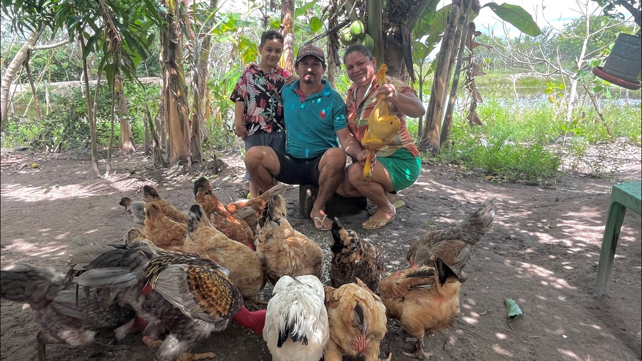 “Receita Nordestina: Maria Isabel de Frango Caipira Deliciosa”