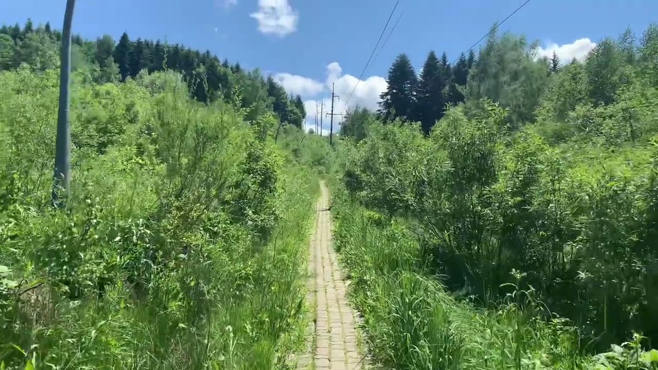 Східниця, джерела #5, 6