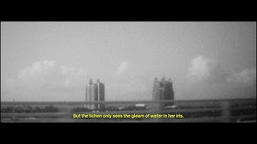 CLASS OF 2021: RHEA STORR | CIRCA