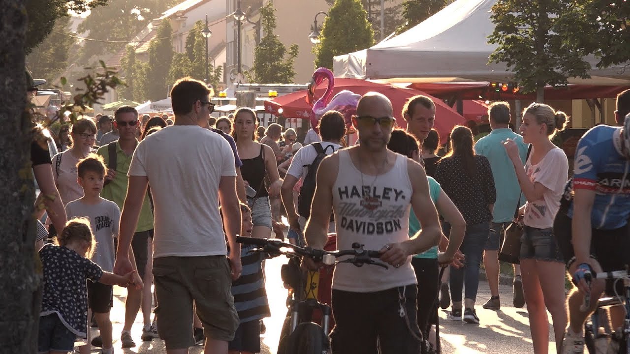 Ortsstraßenfest in Vösendorf