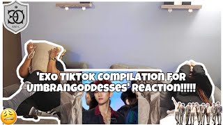 EXO TIKTOK COMPILATION FOR UMBRANGODDESSES REACTION!!!!!!!🤎💌💓😫🤠