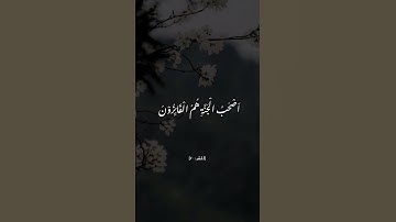 #القرآن_الكريم #اكسبلور #ذكر_الله #لايك #تلاوة #تلاوة_خاشعة #المصحف #سورة_الحشر
